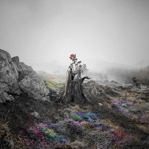 四月电子厂全景沟厕
