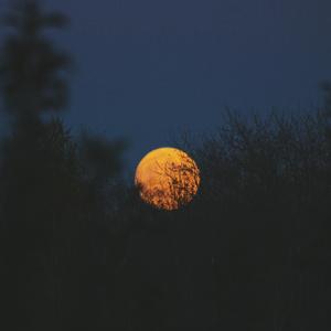 Free1819❌❌❌Asan
