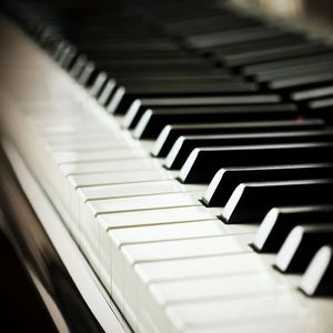 一级成a爱看片免费观看窝窝影院
