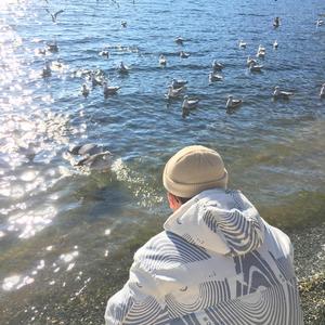 一级成a爱看片免费观看窝窝影院
