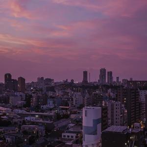 亚洲毛耸耸阴户特写
