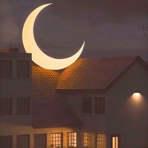 亚洲毛耸耸阴户特写
