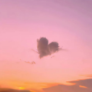 一级成a爱看片免费观看窝窝影院
