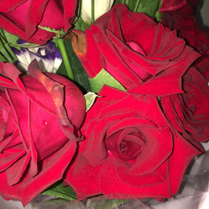 好湿⋯好紧⋯好多水好想要
