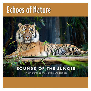 四月电子厂全景沟厕
