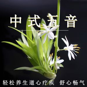 下载黄色大片
